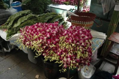 COMERCIO - FLORES (1)